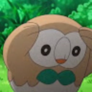 Meet your Posher, Ack